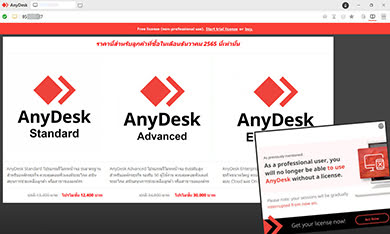 AnyDesk_1